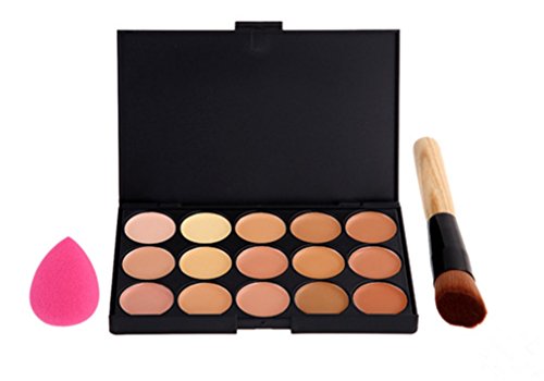 Pure Vie® 1 Pcs brochas de maquillaje + 1 Esponja Fundación Puff + 15 Colores Corrector Camuflaje Paleta de Maquillaje Cosmética Crema - Perfecto para Sso Profesional y Diario