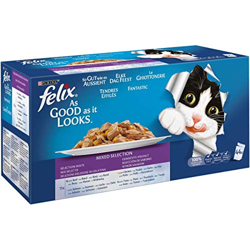 Purina Felix Fantastic comida para gato surtido variado Pack 44 x 100 g