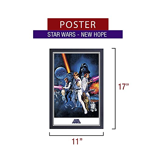 Pyramid America Póster de Star Wars New Hope - One She - Impresión con revestimiento protector texturizado en marco negro de 33 x 48 cm, listo para colgar