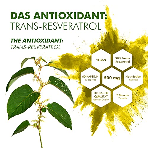 Resveratrol (60 cápsulas de 500mg) - 98% Extracto de raíz de Fallopia Japonica - Producción alemana - 100% Vegano y sin aditivos - incl. ebook"Anti-Stress"