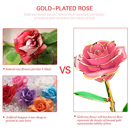 Rosa Oro 24 K Rosas Eterna Flores Artificiales Mejor Regalo Con Soporte Transparente y Caja Regalo para Esposa Mom Novia En Navidad, San Valentín, Cumpleaños, Día de la Madr, el Día de San Valentín