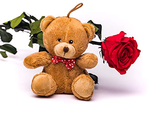 Rosen-Te-Amo | rosa eterna roja | tallo 40 cm | tierno peluche castaño y tarjeta felicitación descargable | caja regalo refinada || Flores preservadas: regalos originales mujer o decoracion hogar