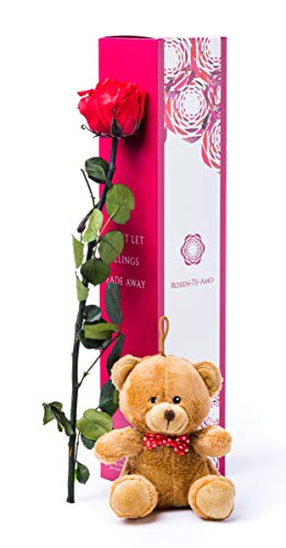 Rosen-Te-Amo | rosa eterna roja | tallo 40 cm | tierno peluche castaño y tarjeta felicitación descargable | caja regalo refinada || Flores preservadas: regalos originales mujer o decoracion hogar