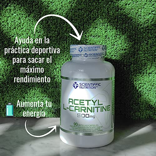 Scientiffic Nutrition - ALC 500mg, Suplemento de Acetil L-Carnitina, Quemagrasas Potente para Perder Peso y Aumentar tu Energía, Fat Burner - 90 cápsulas