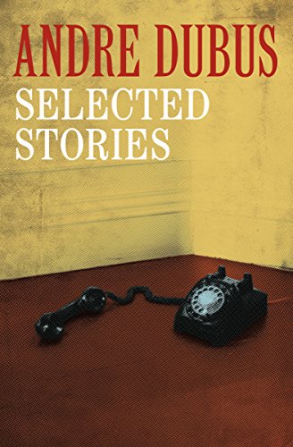 Selected Stories (English Edition)