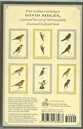 Sibley Backyard Birding Postcards: 100 Postcards (Sibley Birds)