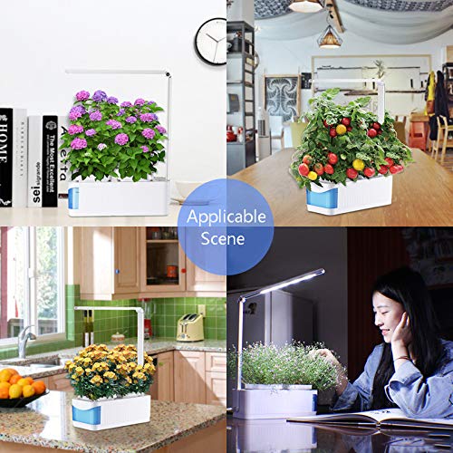 Smart Herb Garden, Smart Hydroponics Garden Lights, Hydroponics Indoor Smart Herb Garden, Sprout Led Light, Adaptador Británico (Semillas No Incluidas)