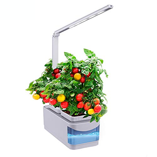 Smart Herb Garden, Smart Hydroponics Garden Lights, Hydroponics Indoor Smart Herb Garden, Sprout Led Light, Adaptador Británico (Semillas No Incluidas)