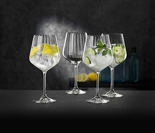 Spiegelau & Nachtmann, Gin & Tonic 102892 - Juego de 4 piezas (640 ml, 22,2 cm)