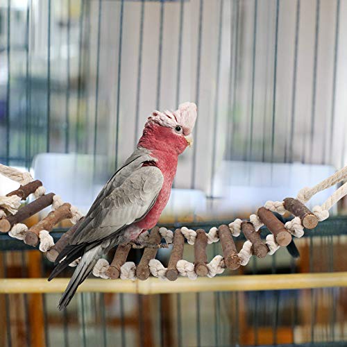 TAECOOOL 8 juguetes de madera para loros, loros, pájaros, pajareras, campanas colgantes de madera natural, juguetes adecuados para cacatúas, finillos, periquitos, periquitos