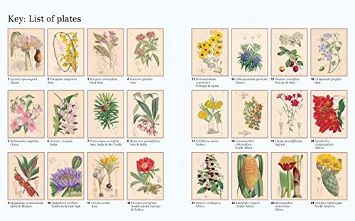 The Kew Gardens World of Flowers Colouring Book: Over 40 Beautiful Illustrations Plus Colour Guides (Kew Gardens Arts & Activities)