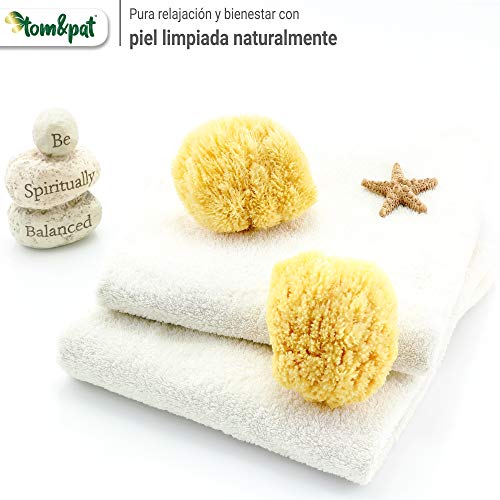 tom&pat® Esponja natural Grass, esponja baño extremadamente suave del mar Mediterráneo, para espuma extra, hipoalergénica, esponja vegetal de primera calidad, envases sin plástico (13-14 cm)