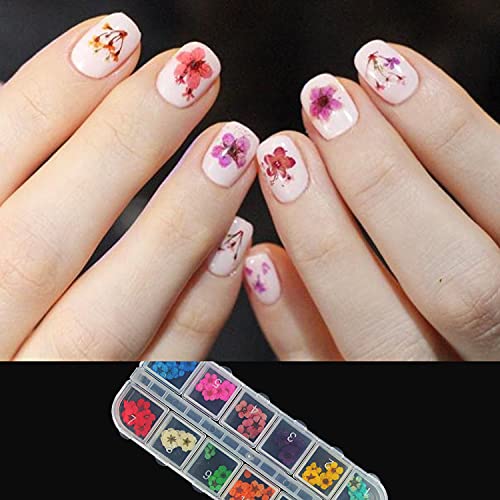 Tougod 36 Unidades De Flores Secas Para Uñas Con Flores Secas Reales De Arte Del Clavo 3d Decoración Para Uñas Con Piezas De Uñas Conservadas Para Manicura – Con Pinzas