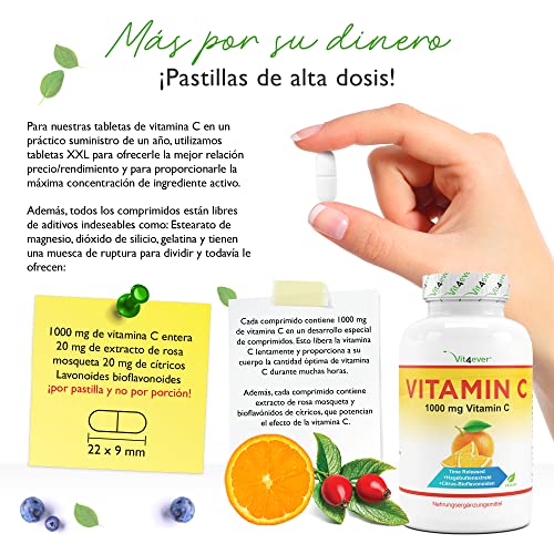 Vitamina C 1000mg - 365 tabletas en un año - Efecto retardado - Probado en laboratorio - Vitamina C + extracto de rosa mosqueta + bioflavonoides cítricos - Vegano - Altamente dosificado