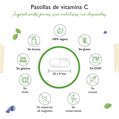 Vitamina C 1000mg - 365 tabletas en un año - Efecto retardado - Probado en laboratorio - Vitamina C + extracto de rosa mosqueta + bioflavonoides cítricos - Vegano - Altamente dosificado