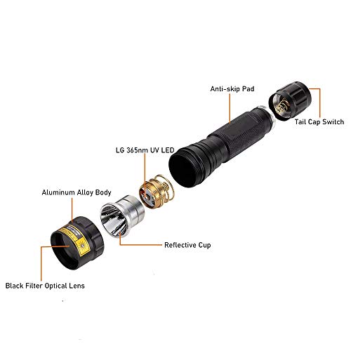 XLENTGEN Linterna Ultravioleta, 365nm Linterna UV de Luz Negra con Lente de Filtro - Detector UV Portátil para Detección de Orina/Hongos de Mascotas, Detección de Camping (Baterias Incluidas)