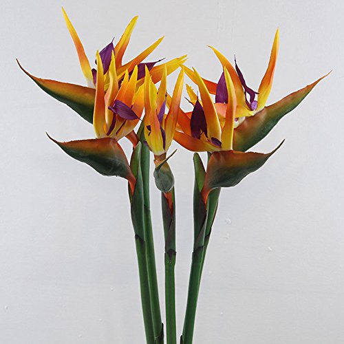 ZHOUBAA Flor Artificial Ave del Paraíso Planta Falsa Seda Strelitzia Reginae Decoración para El Hogar Flores Artificiales para Decoración Naranja