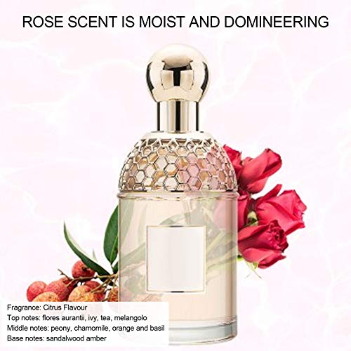 100 Ml Eau de Parfum Spray para Mujer Lady Perfume de Larga Duración Elegante Floral Afrutado de Larga Duración Elegante Afrutado Perfume en Spray Lady Navidad Mujer Regalo para Mujer(Rosa delicada)