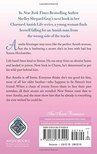 A Sister's Wish: The Charmed Amish Life, Book Three