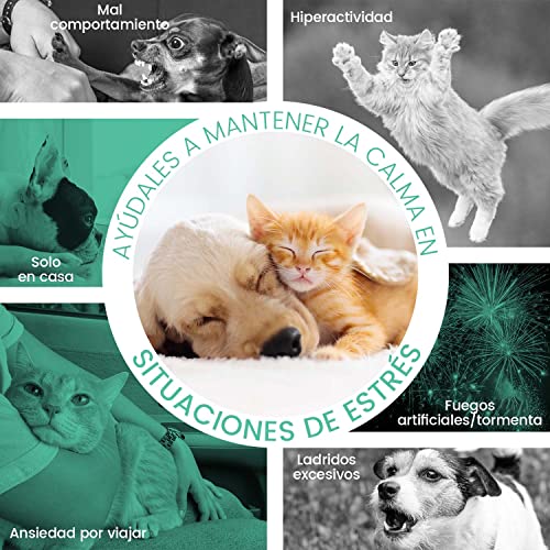 Animigo Gotas Calmantes para Gatos y Perros. Relajante Natural No Somnífero. para Estrés, Ansiedad por Separación, Viajes y Ruidos Fuertes. con Aminoácidos, Vitaminas y Minerales. Gotero 100ml