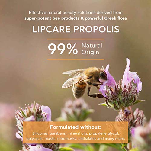 APIVITA Lipcare Propolis 0.16 oz. | Barras de cera de abeja natural.