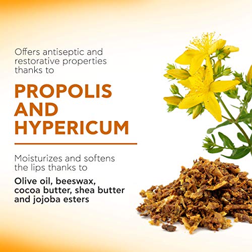 APIVITA Lipcare Propolis 0.16 oz. | Barras de cera de abeja natural.