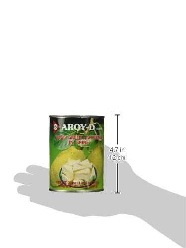 Aroy-D Young Green Jackfruit In Brine 20 oz