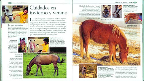 Atlas Ilustrado De Los Caballos Y Ponys