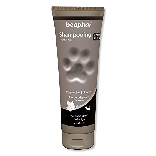 Beaphar Champú Alta Cosmética Perros Pelo Negro u Oscuro, Un tamaño 250 ml 250 ml