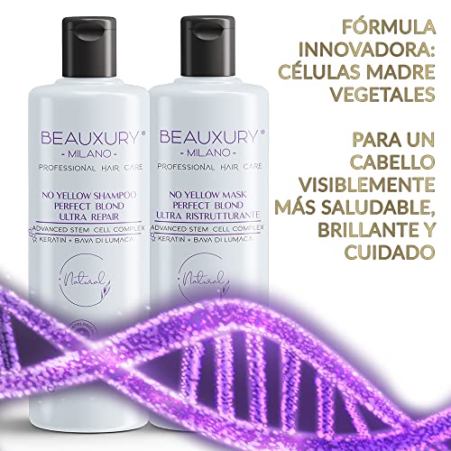 Champú & Máscara 500 ML anti-amarillo Rubio Perfecto para Cabello Rubio, Platino, Gris y Plata Células Madre Vegetales, Queratina