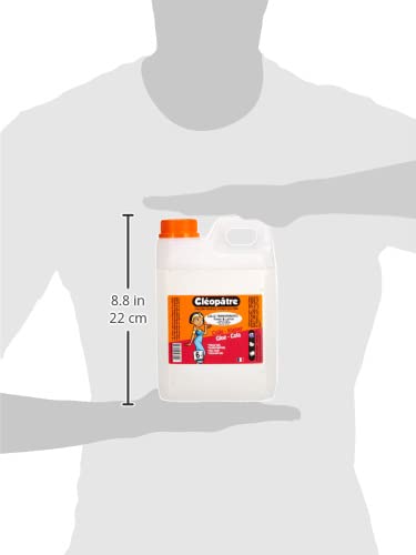 Cléopâtre CT2L-PAILL2 - Lote de 2 kg de pegamento transparente + 6 tubos de lentejuelas + cajas de almacenamiento