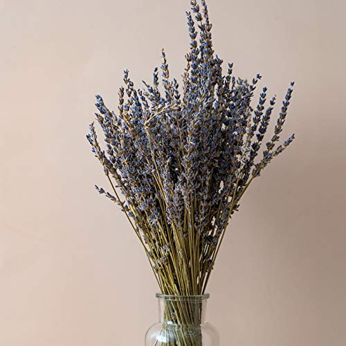 CoolCrafts Ramos de Lavanda Seca, 100 Ramitas de Lavanda Seca Natural, Flores Secas Decoración del Hogar Ramos de Boda