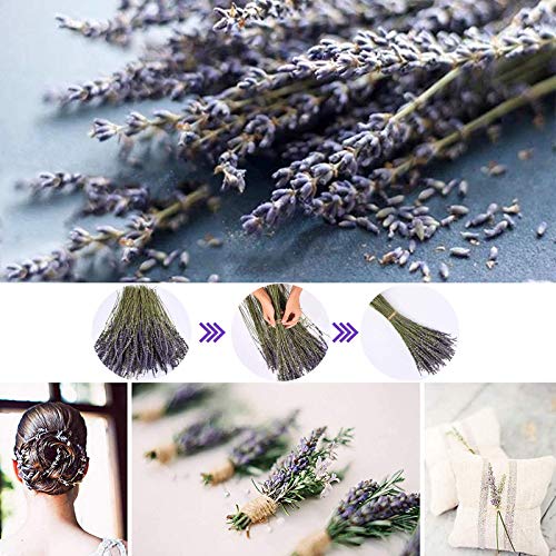 CoolCrafts Ramos de Lavanda Seca, 100 Ramitas de Lavanda Seca Natural, Flores Secas Decoración del Hogar Ramos de Boda