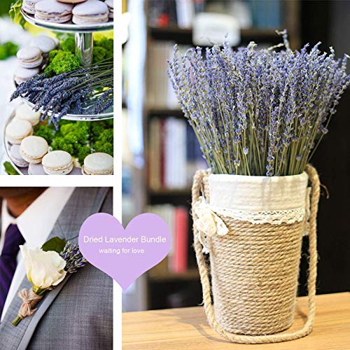 CoolCrafts Ramos de Lavanda Seca, 100 Ramitas de Lavanda Seca Natural, Flores Secas Decoración del Hogar Ramos de Boda