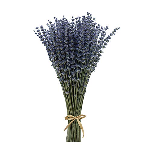 CoolCrafts Ramos de Lavanda Seca, 100 Ramitas de Lavanda Seca Natural, Flores Secas Decoración del Hogar Ramos de Boda