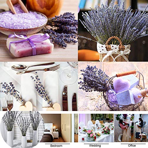 CoolCrafts Ramos de Lavanda Seca, 100 Ramitas de Lavanda Seca Natural, Flores Secas Decoración del Hogar Ramos de Boda