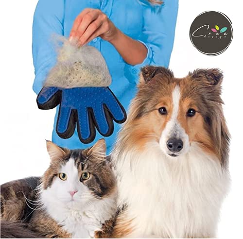 Crea Nut- Guante cepillo para el aseo de perros, gatos y conejos. Cepillo suave y masajeador para la eliminación del vello de los animales domésticos. Efecto suavizante. (azul)