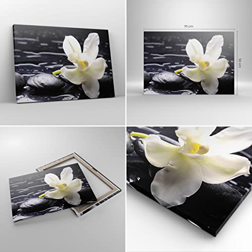 Cuadro sobre lienzo - Impresión de Imagen - Spa orquídea piedras agua - 70x50cm - Imagen Impresión - Cuadros Decoracion - Impresión en lienzo - Cuadros Modernos - Lienzo Decorativo - AA70x50-0444