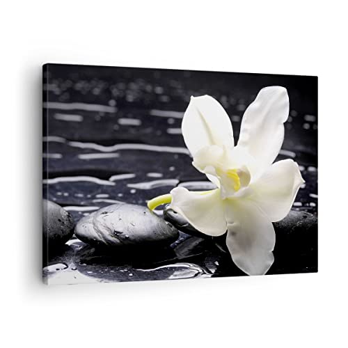 Cuadro sobre lienzo - Impresión de Imagen - Spa orquídea piedras agua - 70x50cm - Imagen Impresión - Cuadros Decoracion - Impresión en lienzo - Cuadros Modernos - Lienzo Decorativo - AA70x50-0444