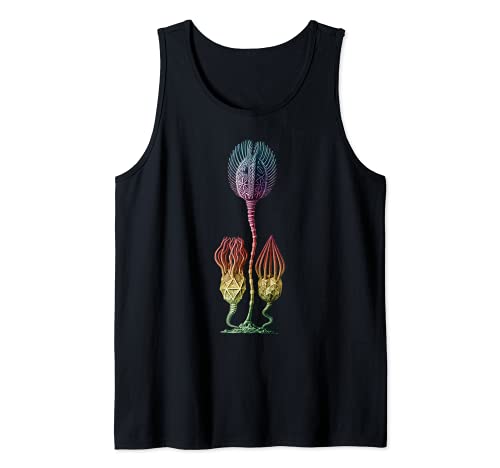 Cystoidea Fósil Biología, Animal marino, Naturaleza Camiseta sin Mangas