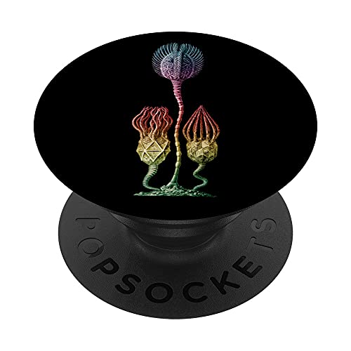 Cystoidea Fósil Biología, Animal marino, Naturaleza PopSockets PopGrip Intercambiable