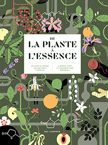 De la plante à l'essence: Un tour du monde des matières à parfums