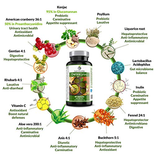 Detox Plus - Complemento alimentício natural con 13 ingredientes para auxiliar en el proceso depurativo natural del cuerpo