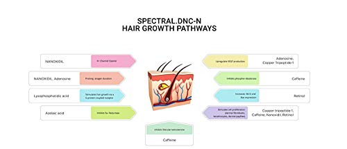 DS Laboratories Spectral. DNC-N Tratamiento anticaída. Ayuda a reducir la caída del cabello y estimula el crecimiento capilar. Fórmula con Nanoxidil 5%, Cafeína 1% y Retinol.