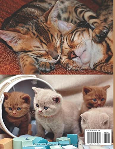 El gran libro de los gatos: libro de fotografía de gatos con 77 razas, gran regalo para los amantes de los animales y los niños