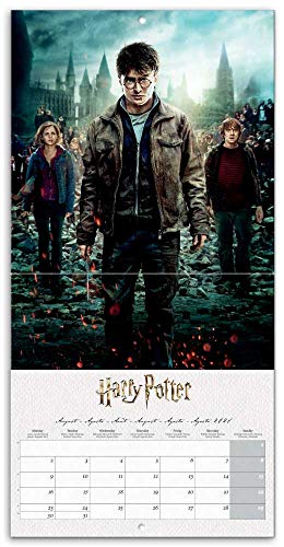 ERIK - Calendario de pared 2021 Harry Potter, Produco Oficial, 30x30 cm