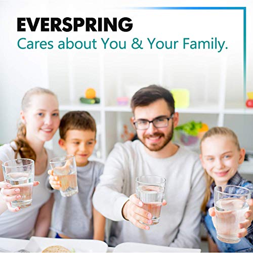 EVERSPRING Reemplazo del Filtro de Agua para Brita Maxtra, Mavea, Anna Duomax (Paquete de 6)