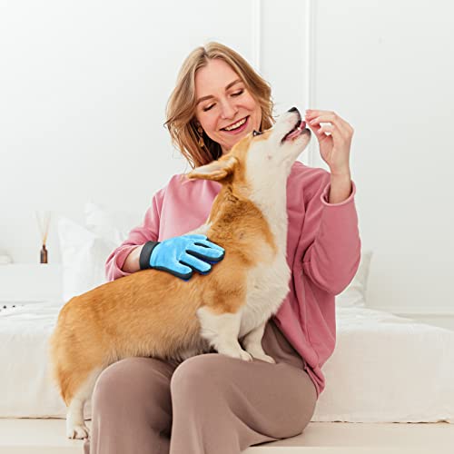 FRETOD Guante con Cepillo Mascotas de Pelo Largo y Corto, Herramienta para peinar, bañar y masajear, de Doble Cara para Eliminar el Pelo de Perros y Gatos de los Muebles, Azul