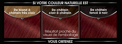 Garnier - Olia - Coloration Permanente à l’Huile Sans Ammoniaque Noir - 1.0 Noir Absolu