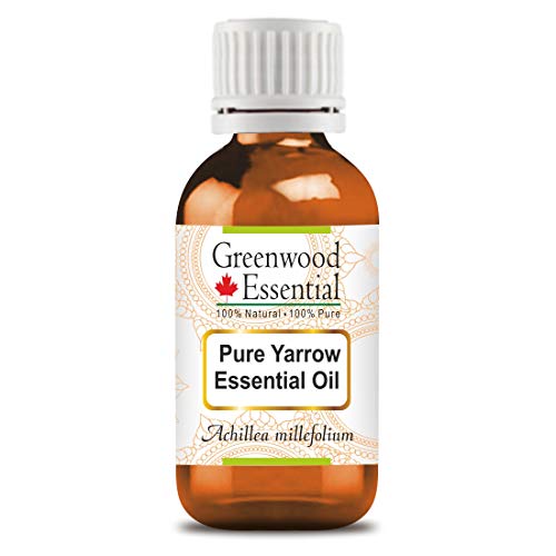 Greenwood Essential - Aceite esencial de milenrama (Achillea millefolium) de calidad prémium y grado terapéutico para aromaterapia y el cuidado de la piel y el cabello, 10 ml